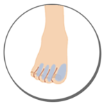Sパーツ　足の指